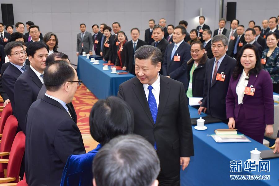 (两会)(4)习近平看望参加政协会议的民盟致公党无党派人士侨联界委员